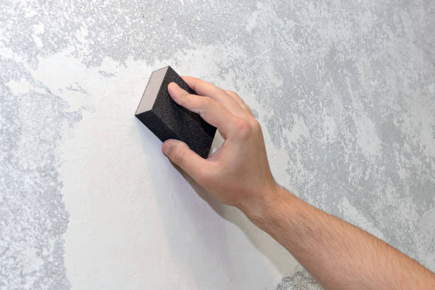 Best Asbestos and Lead Testing During Mold Inspection  in Trappe, MD