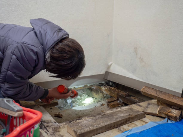 Best Residential Mold Inspection & Testing  in Trappe, MD