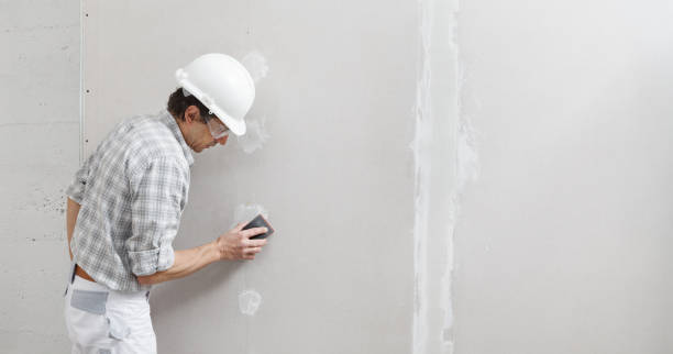 Best Crawl Space Mold Remediation  in Trappe, MD