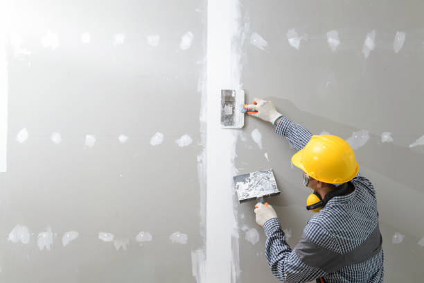 Best Forensic Mold Investigation  in Trappe, MD