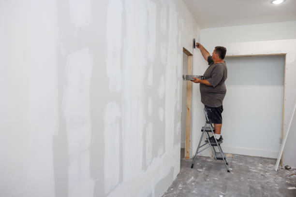 Best Mold Damage Restoration  in Trappe, MD