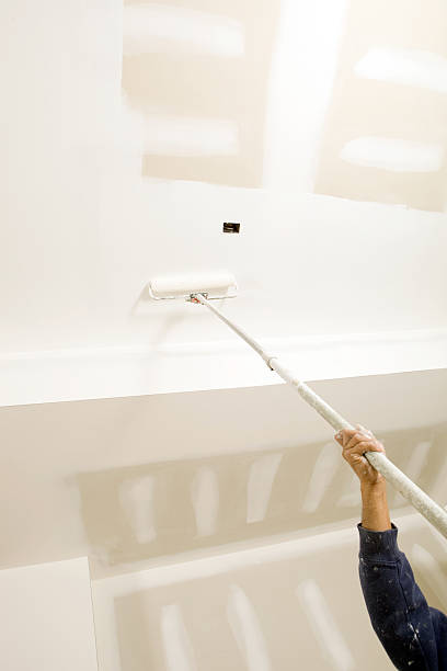 Reliable Trappe, MD Mold Removal Solutions